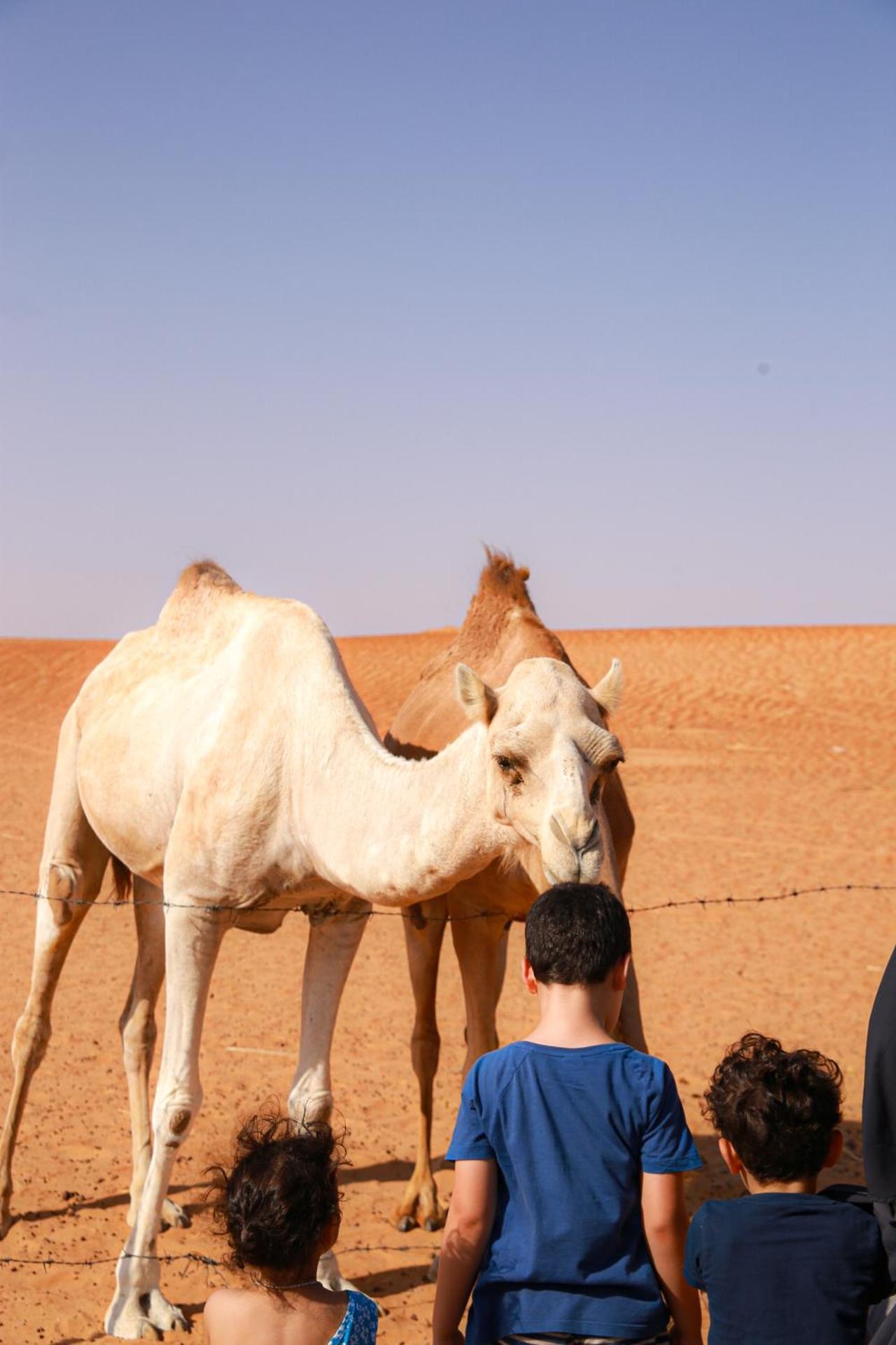 Wahiba Bedouin Rustic Camp Hotel Bidiya Exterior photo